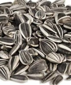 Semilla de Girasol bulto 22.68 kg